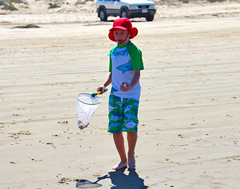 Boy finds some Clams on the beach