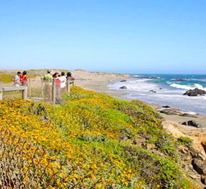 Coastal Trails - Pismo Sands Beach Club Camping