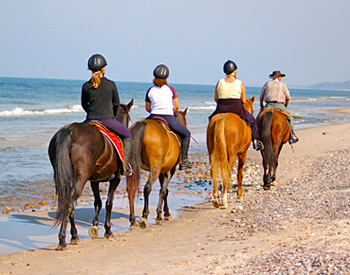 Family Horseback Riding on the Beach