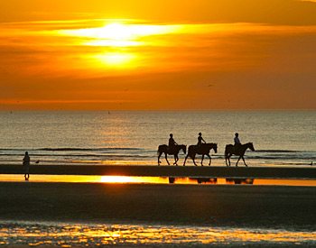 Sunset Horseback Riding on the Beach